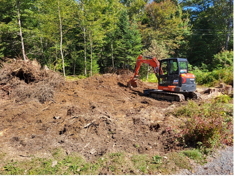 An orange Kubota mini-excavator clears a wooded lot, piling up dark soil, roots, and organic debris. Several tree stumps remain on the right side of the frame, and the background shows a thick line of deciduous and coniferous trees under a clear blue sky.